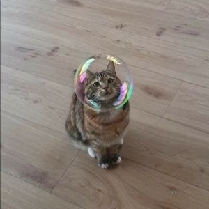 Meet your Posher, Haley